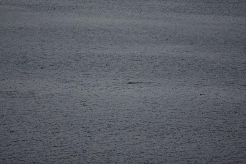 2012-06-21 21:26:21 ** Alaska, Cruise ** 