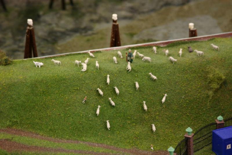 2006-11-25 09:56:36 ** Deutschland, Hamburg, Miniaturwunderland ** Die Schafe halten das Gras auf dem Deich kurz.