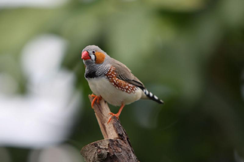 2010-04-10 16:47:02 ** Germany, Munich, Zoo ** 