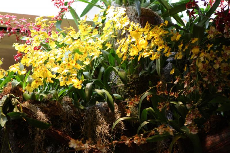 2014-03-14 11:24:56 ** Botanical Garden, Chicago, Illinois ** 
