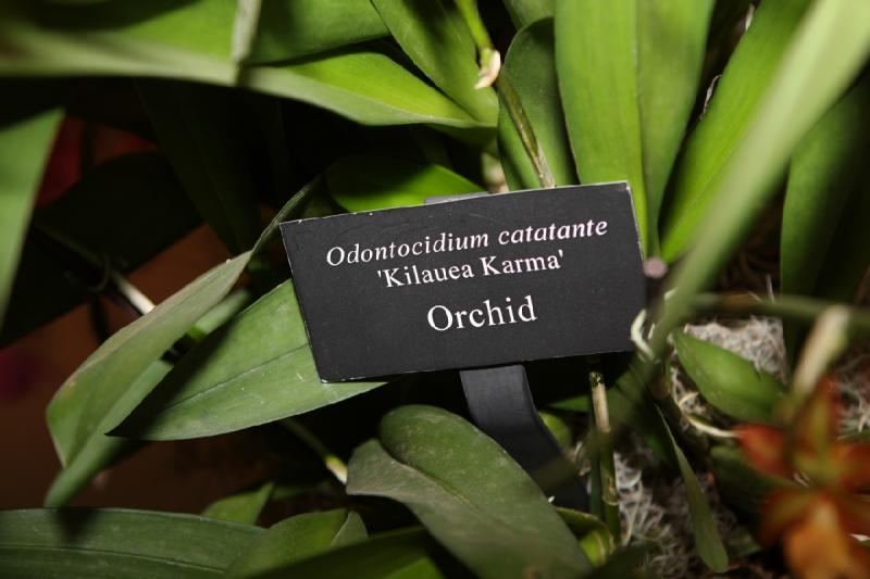2014-03-14 11:30:32 ** Botanical Garden, Chicago, Illinois ** 