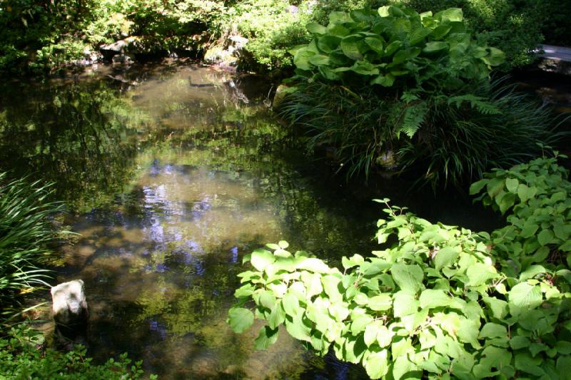 2007-09-02 14:06:16 ** Portland ** Pond in the Japanese Garden.