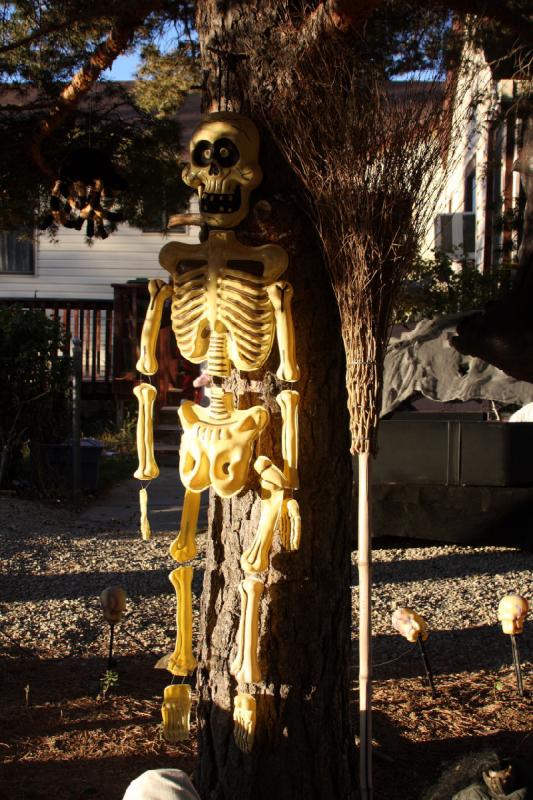 2008-10-25 17:46:09 ** Utah ** Besser ein Skelett am Baum als im Schrank.