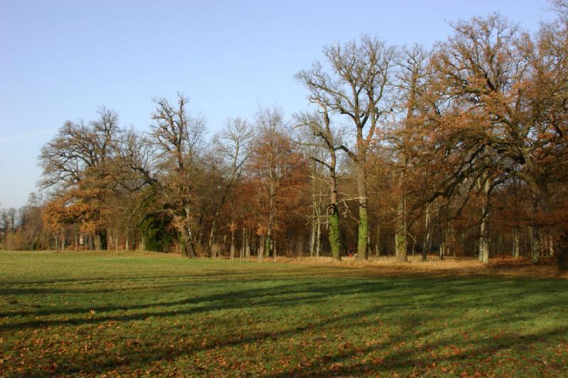 2006-11-28 10:40:32 ** Deutschland, Potsdam ** Schloßpark Sanssouci im Herbst.