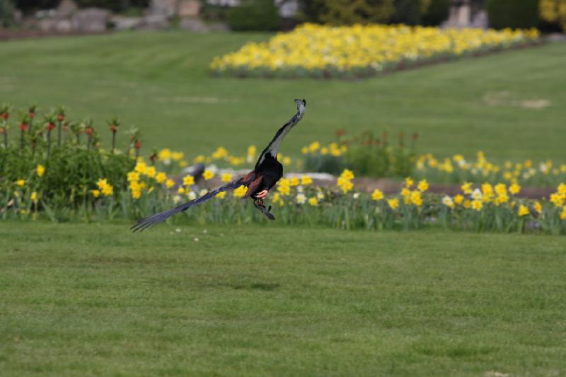 2010-04-13 14:35:59 ** Germany, Walsrode, Zoo ** 