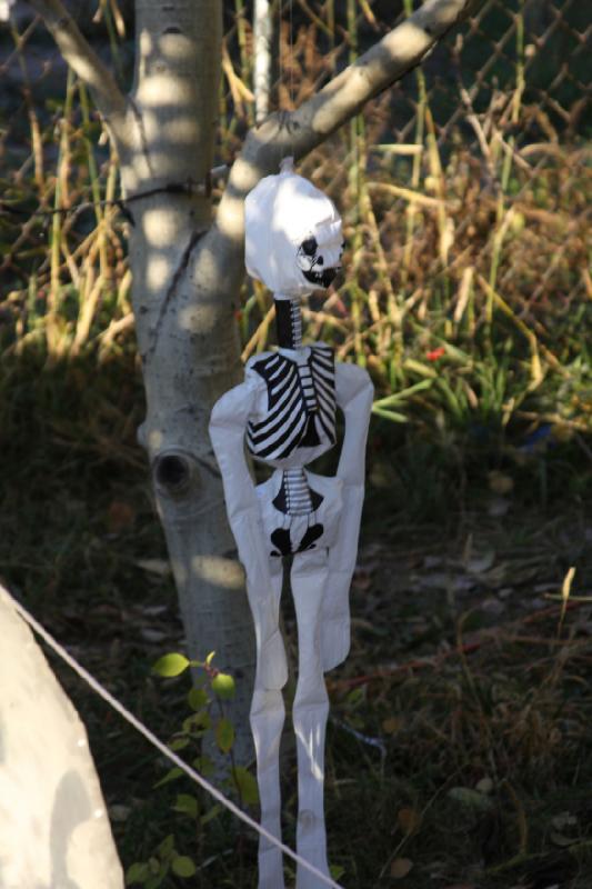 2008-10-25 17:48:00 ** Utah ** Noch ein Skelett am Baum.