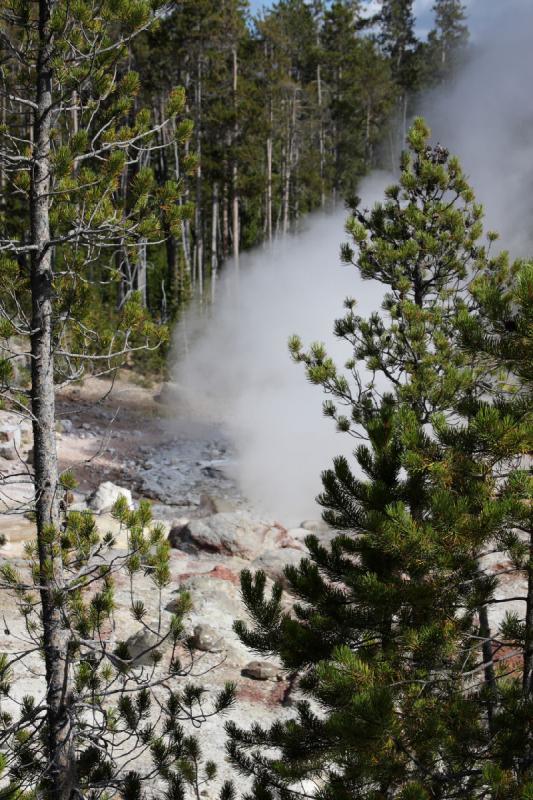 2008-08-15 16:24:11 ** Yellowstone Nationalpark ** 