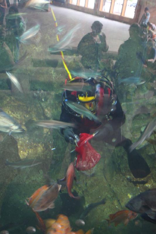 2012-06-16 10:16:51 ** Aquarium, Seattle ** 