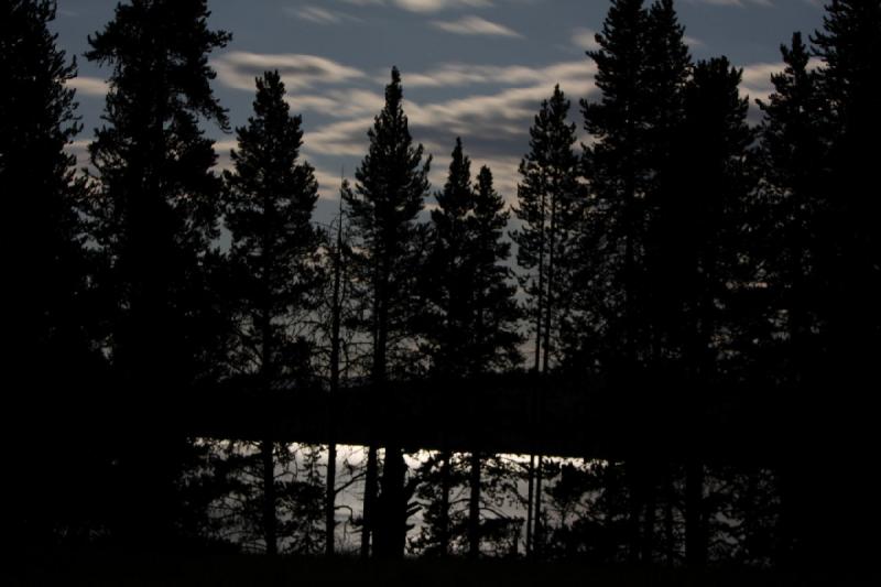 2008-08-14 22:21:33 ** Yellowstone Nationalpark ** Mondlicht spiegelt sich im Yellowstone Lake hinter den Bäumen.