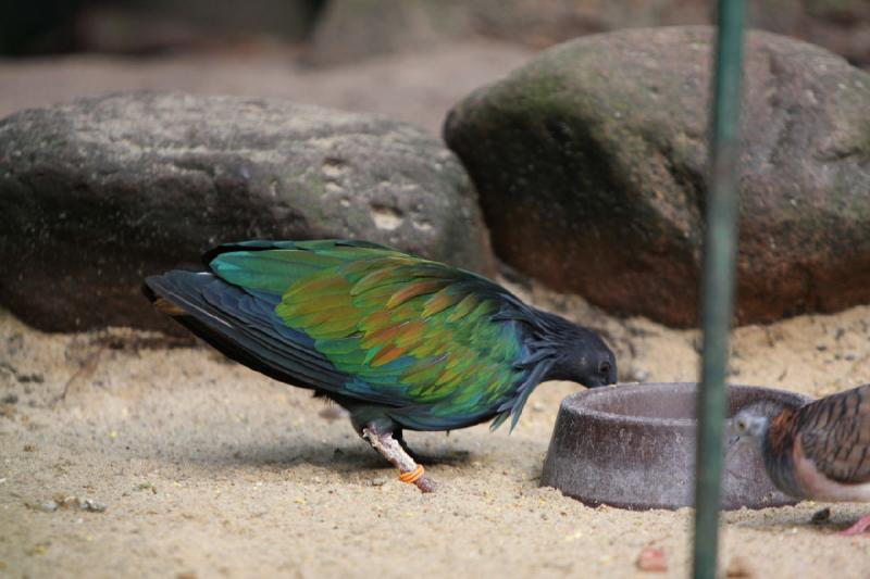 2010-04-13 16:51:26 ** Germany, Walsrode, Zoo ** 