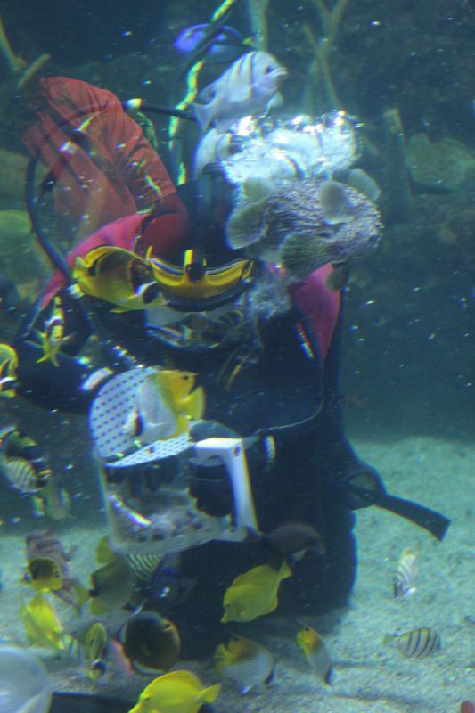2012-06-16 11:12:09 ** Aquarium, Seattle ** 