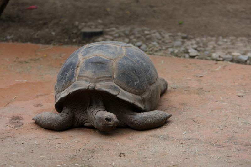2010-04-10 16:55:20 ** Deutschland, München, Zoo ** 