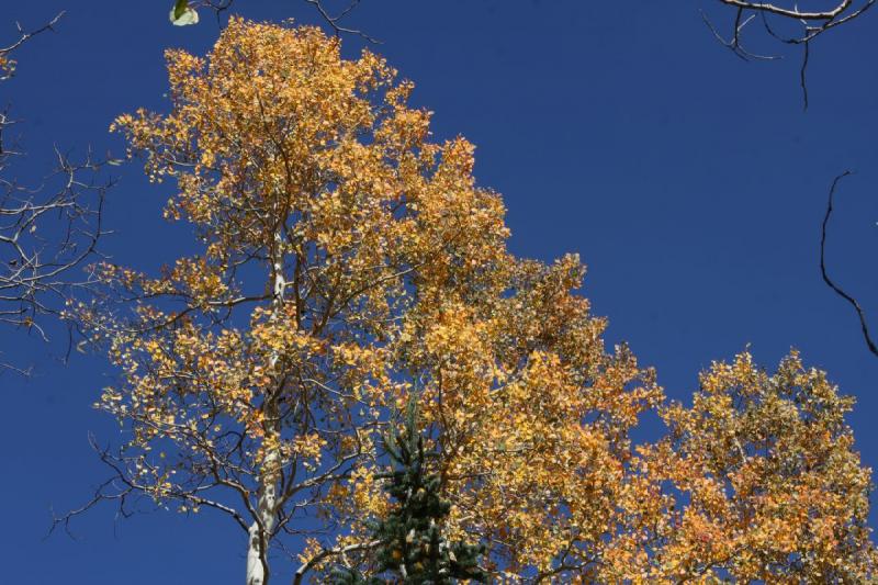 2010-10-01 14:20:15 ** Big Cottonwood Canyon, Utah ** 