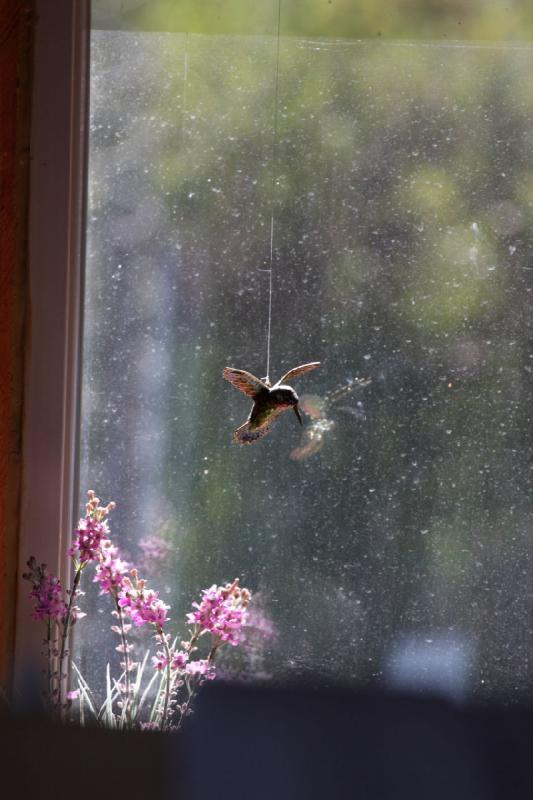 2012-06-27 16:34:49 ** Bear Lake, Idaho ** 