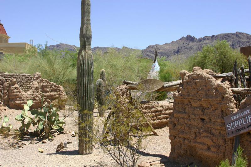 2006-06-17 11:45:46 ** Cactus, Tucson ** Movie set in 'Old Tucson'.