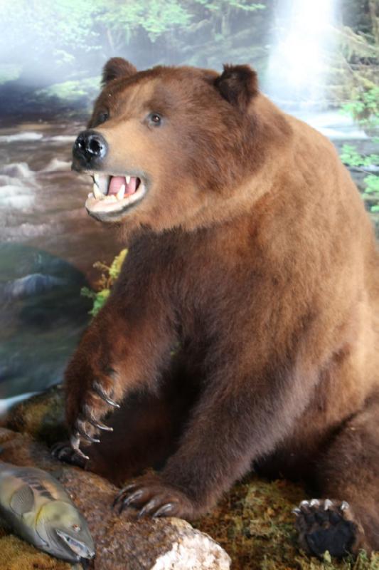 2012-06-20 15:08:44 ** Alaska, Cruise, Juneau ** 