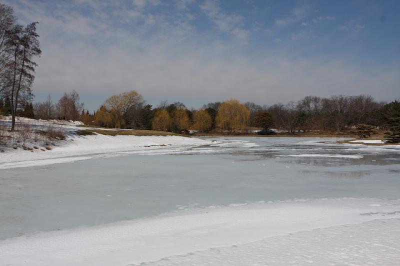 2014-03-14 12:38:45 ** Botanical Garden, Chicago, Illinois ** 