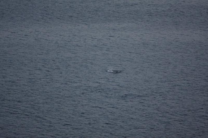 2012-06-21 21:25:58 ** Alaska, Cruise ** 