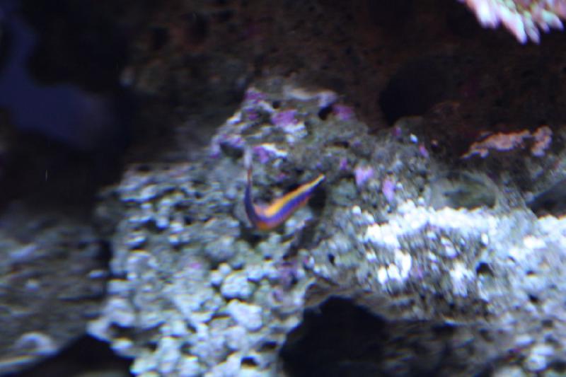2012-06-16 10:55:39 ** Aquarium, Seattle ** 