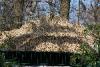 A new thatched roof on the Hille-Pavilion.