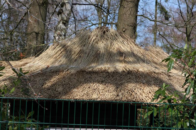 2010-04-02 14:08:27 ** Germany, Oldenburg ** A new thatched roof on the Hille-Pavilion.
