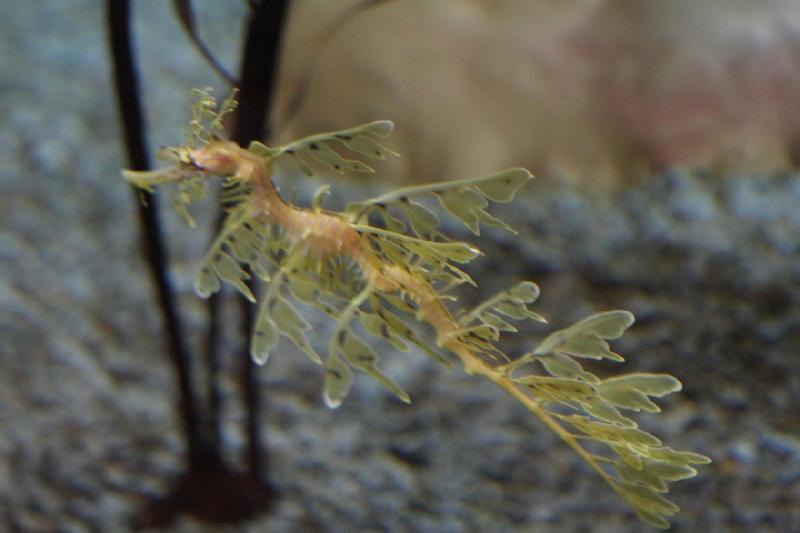 2014-03-12 14:15:02 ** Chicago, Illinois, Shedd Aquarium ** 