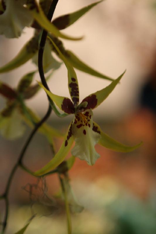 2014-03-14 11:22:35 ** Botanical Garden, Chicago, Illinois ** 