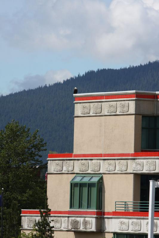2012-06-20 15:06:14 ** Alaska, Bald Eagle, Cruise, Juneau ** 