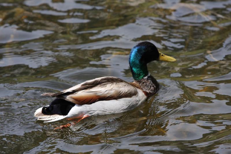 2012-06-12 11:42:02 ** Silver Lake, Utah ** 