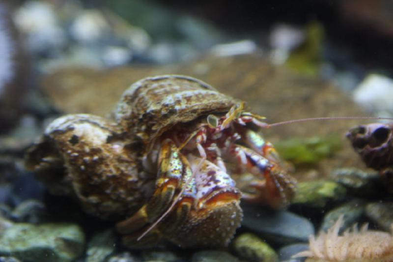 2012-06-20 15:14:18 ** Alaska, Aquarium, Cruise, Juneau ** 