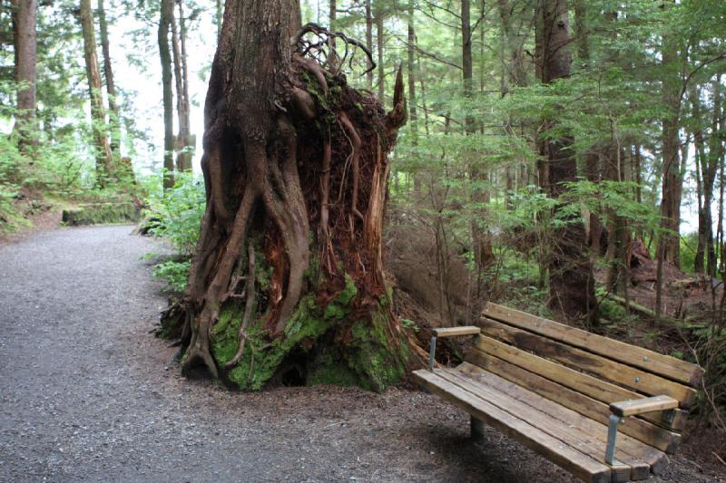 2012-06-19 09:26:25 ** Alaska, Cruise, Ketchikan, Totem Bight State Historic Park ** 2012-06-19 09:26:25 ** Alaska, Cruise, Ketchikan, Totem Bight State Historic Park **