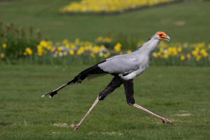 2010-04-13 14:41:37 ** Deutschland, Walsrode, Zoo ** 