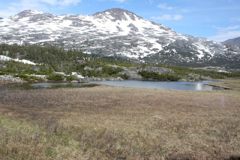 2012-06-21 09:51:18 ** Alaska, Canada, Cruise, Skagway ** 
