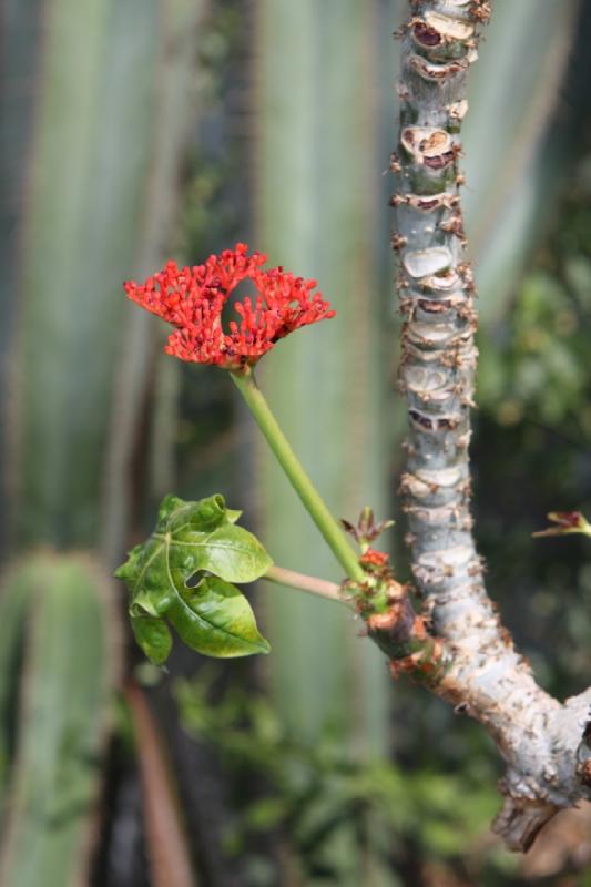 2014-03-14 12:05:15 ** Botanical Garden, Chicago, Illinois ** 