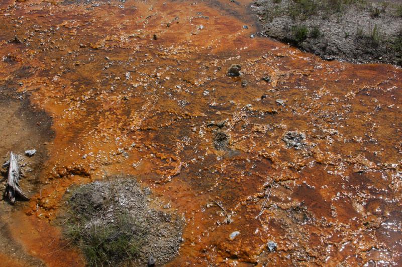 2009-08-03 10:32:12 ** Yellowstone Nationalpark ** Bakterien im heißen Wasser färben den Boden rot.