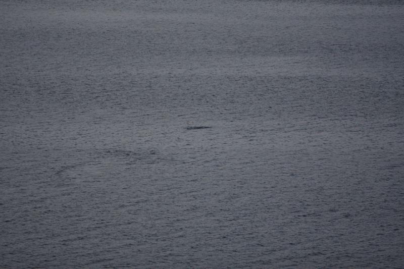 2012-06-21 21:26:16 ** Alaska, Cruise ** 