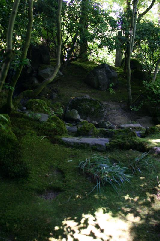 2007-09-02 14:51:06 ** Portland ** Moss-covered ground and rocks.