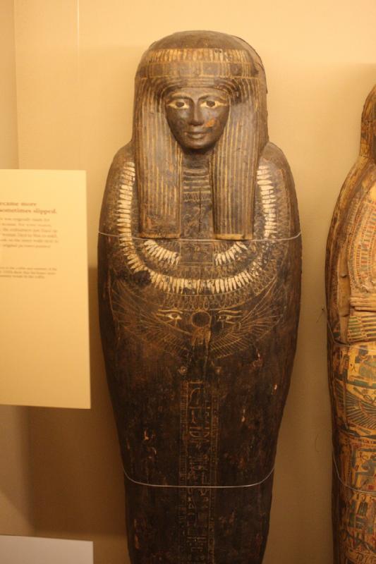2014-03-13 15:00:07 ** Chicago, Field Museum, Illinois ** 