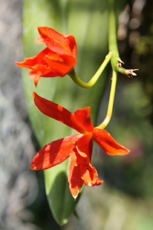2014-03-14 11:55:47 ** Botanical Garden, Chicago, Illinois ** 
