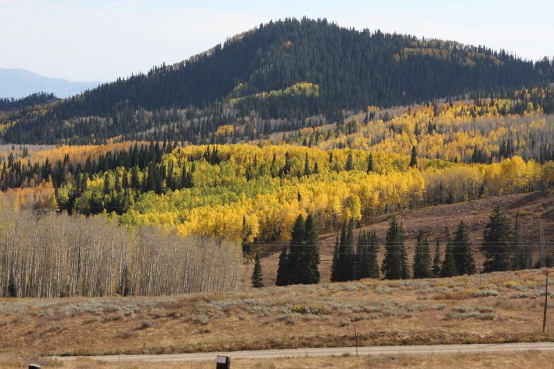 2010-10-02 15:20:45 ** Big Cottonwood Canyon, Utah ** 