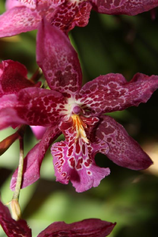 2014-03-14 11:30:41 ** Botanical Garden, Chicago, Illinois ** 