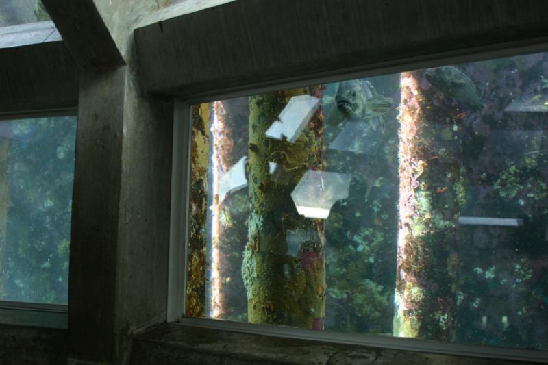 2007-09-01 12:00:46 ** Aquarium, Seattle ** A room surrounded by an aquarium.