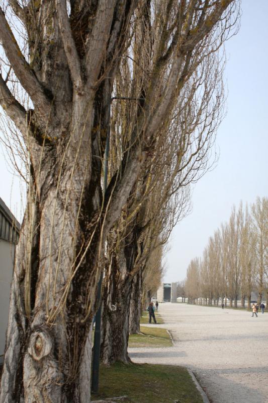 2010-04-09 16:02:59 ** Dachau, Deutschland, Konzentrationslager, München ** 