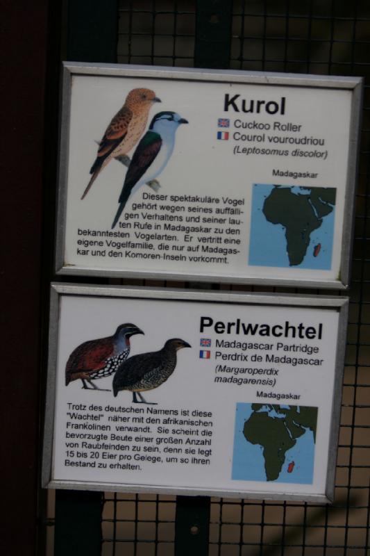 2010-04-13 15:30:25 ** Deutschland, Walsrode, Zoo ** 