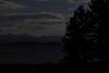 Bäume und Wolken in der Nacht.