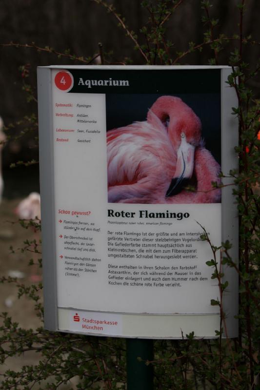 2010-04-10 14:51:48 ** Germany, Munich, Zoo ** 