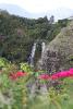 'Opaeka'a Falls.