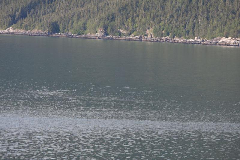 2012-06-21 19:37:32 ** Alaska, Cruise ** 