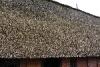 Thatched roof of the Ammerland farm house.