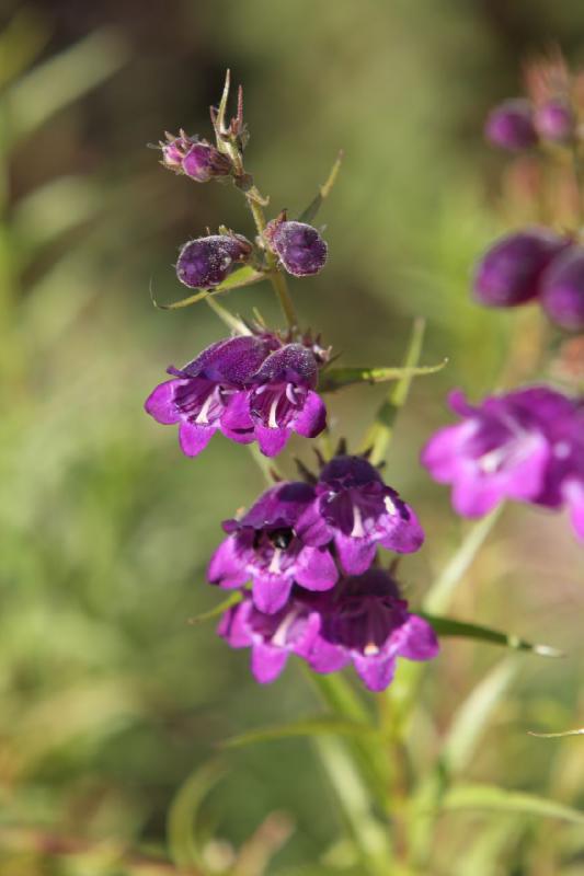 2012-09-29 18:00:50 ** 